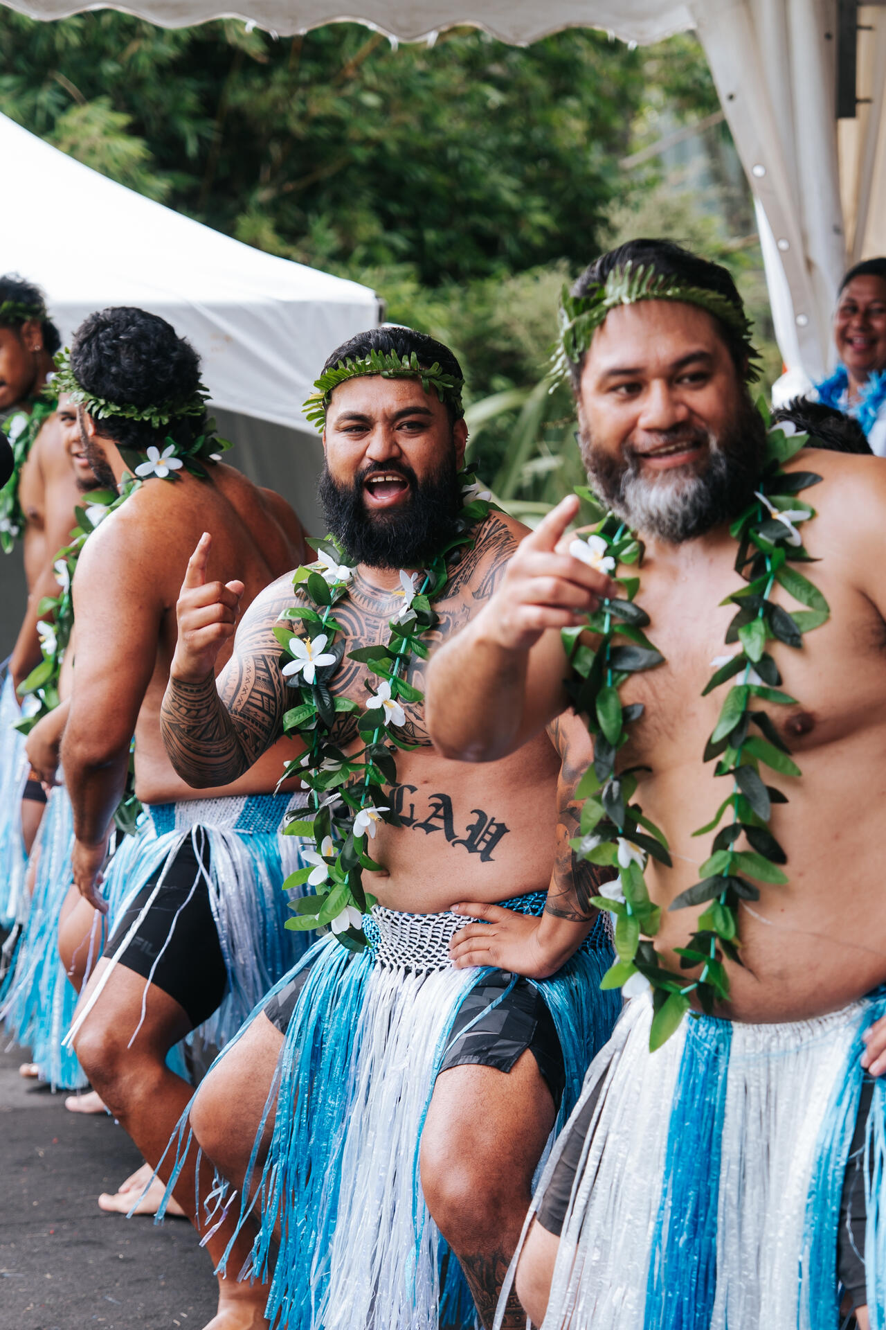 Auckland fatele performance